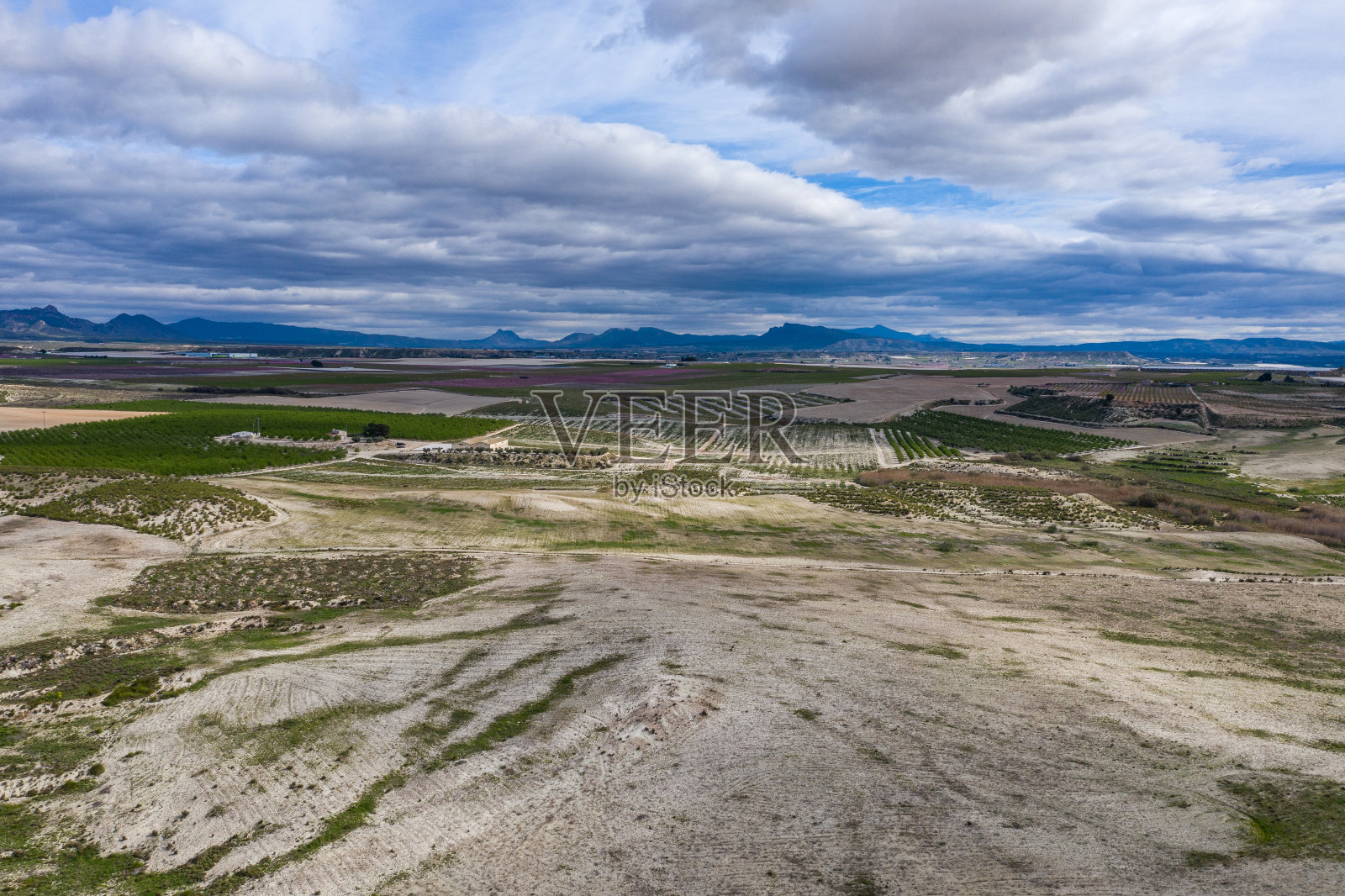 西班牙穆尔西亚地区米拉多埃尔奥尔诺的Cieza桃花盛开照片摄影图片