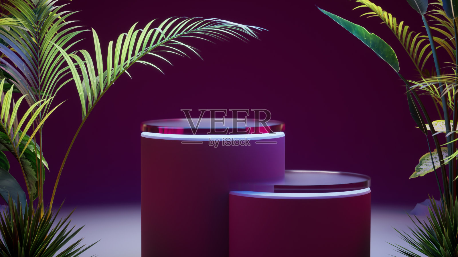 底座、圆柱体在彩色聚光灯的照明下被热带植物包围,模型设计,玻璃支架照片摄影图片