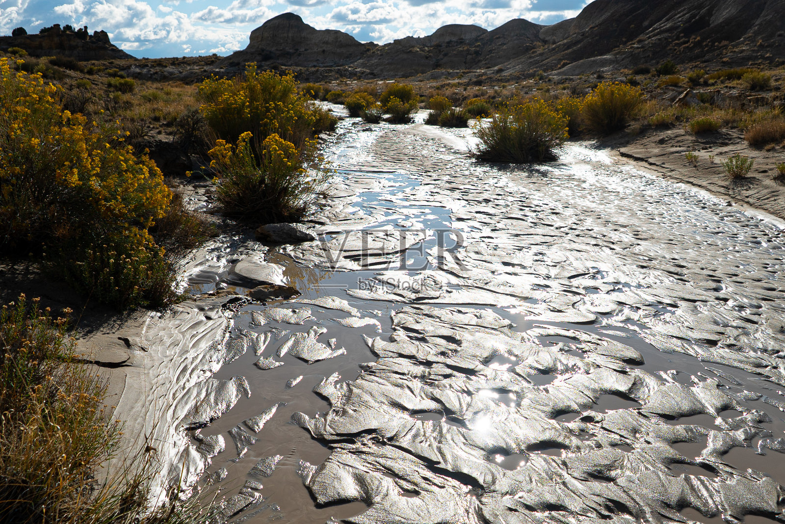 新鲜的雨水,雕刻的沙漠照片摄影图片
