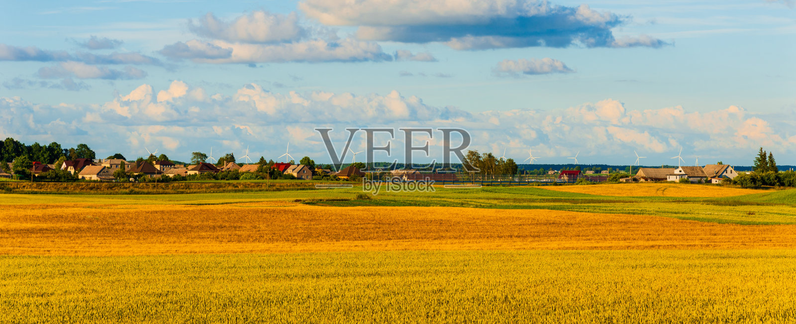 平坦的田野上长着清新的夏日青草。村庄里,乡间的房子背景是田野和树木。黄色田野上的房子。网页横幅。照片摄影图片
