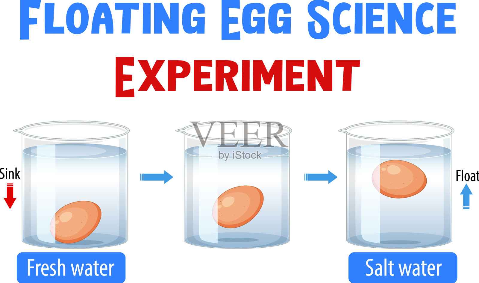 浮蛋实验示意图插画图片素材