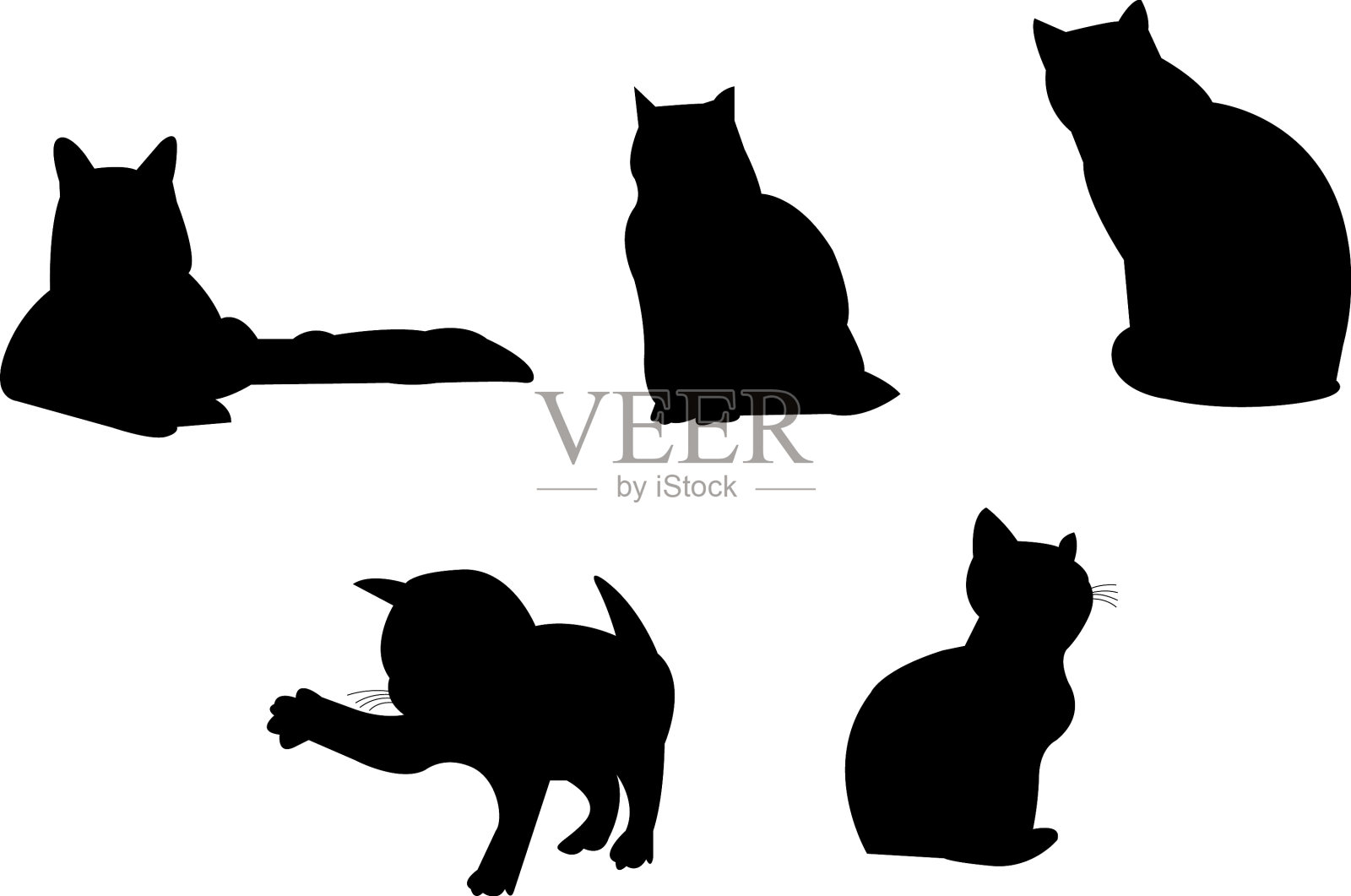 白色的猫的轮廓插画图片素材