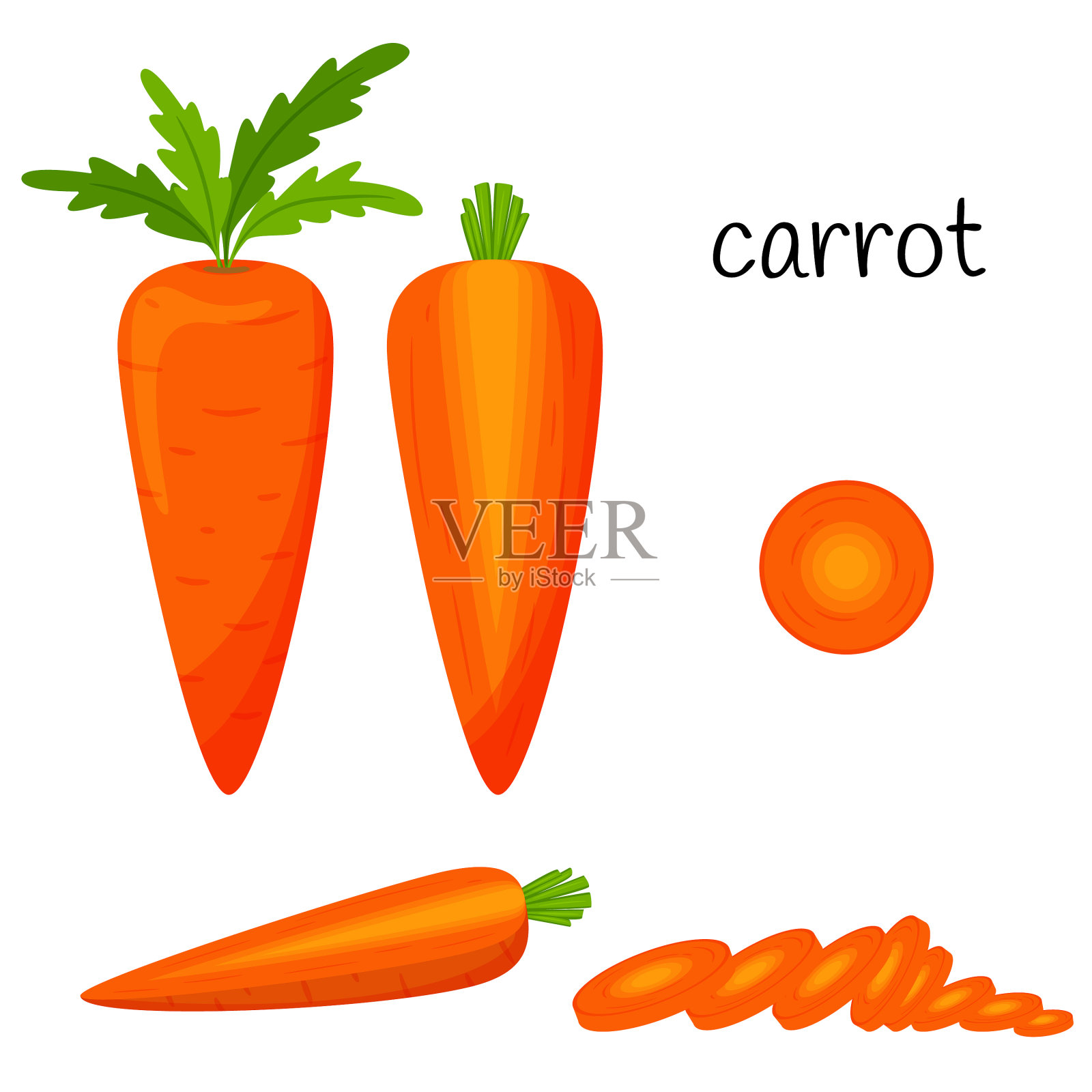 生胡萝卜整片半横截面插画图片素材