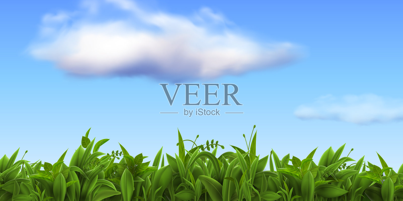 现实的自然景观与新鲜的草和插画图片素材