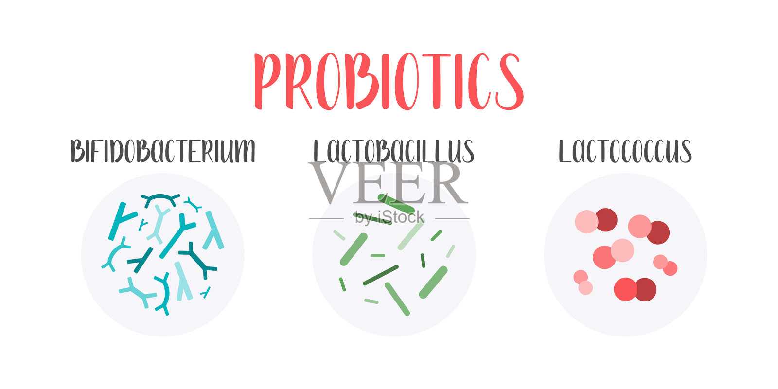 益生菌乳酸菌有益菌插画图片素材
