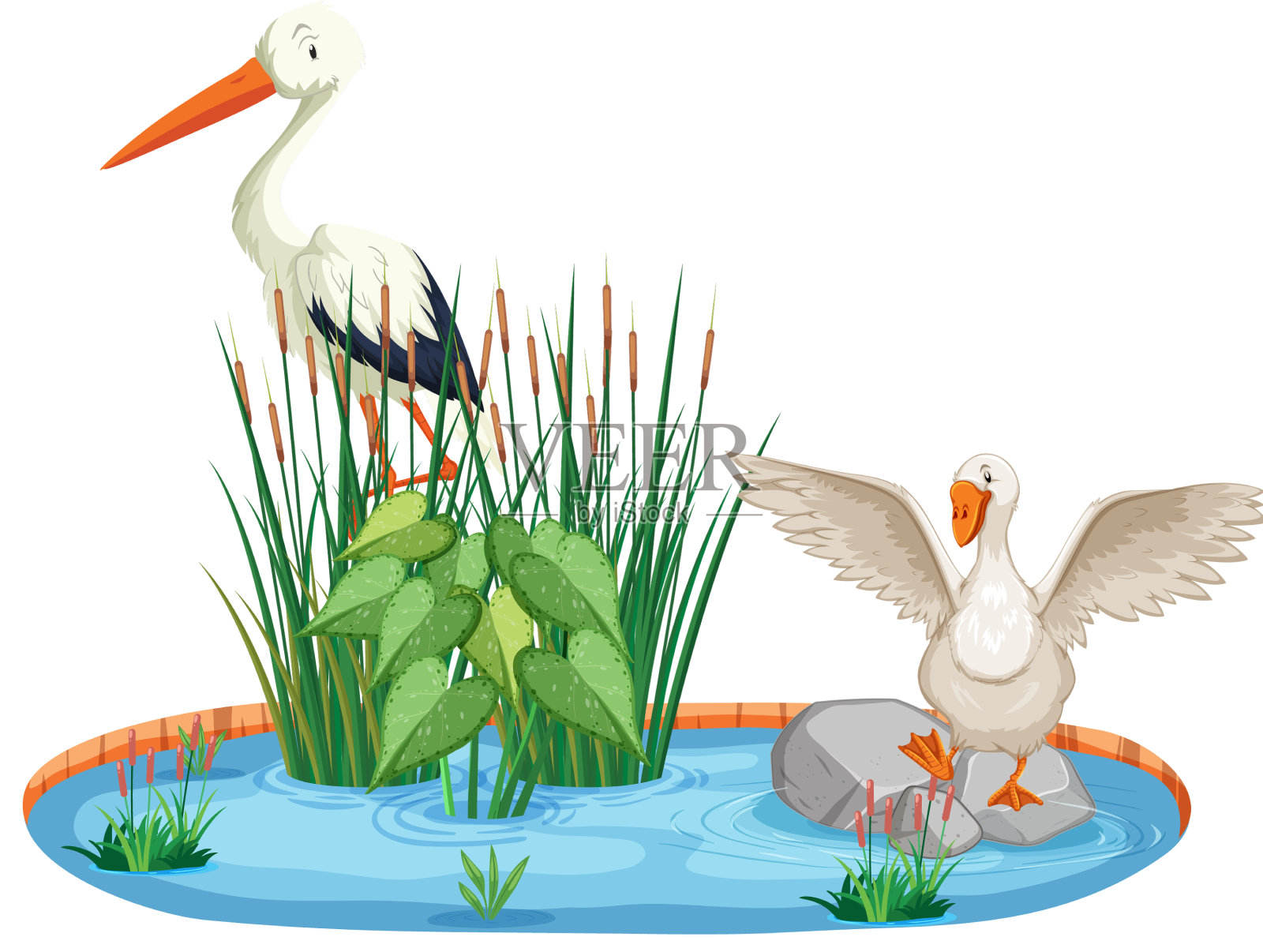 池塘边的两只鸟设计元素图片