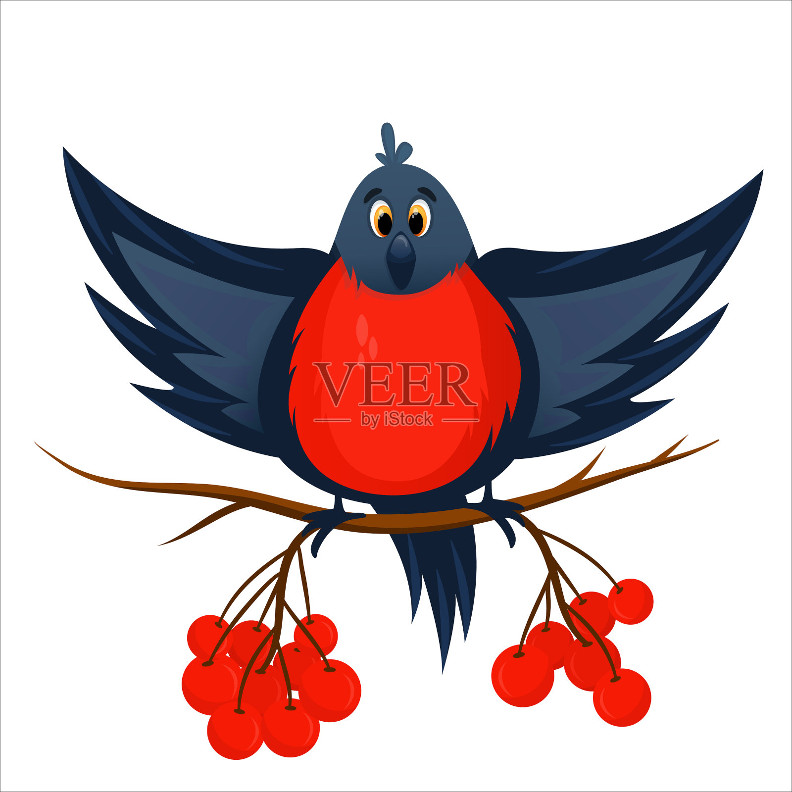 红红的卡通鸟孤立的rowan浆果插画图片素材