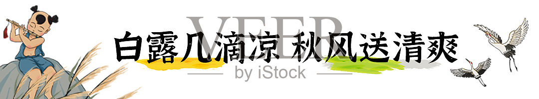 白露插画文章标题设计模板素材