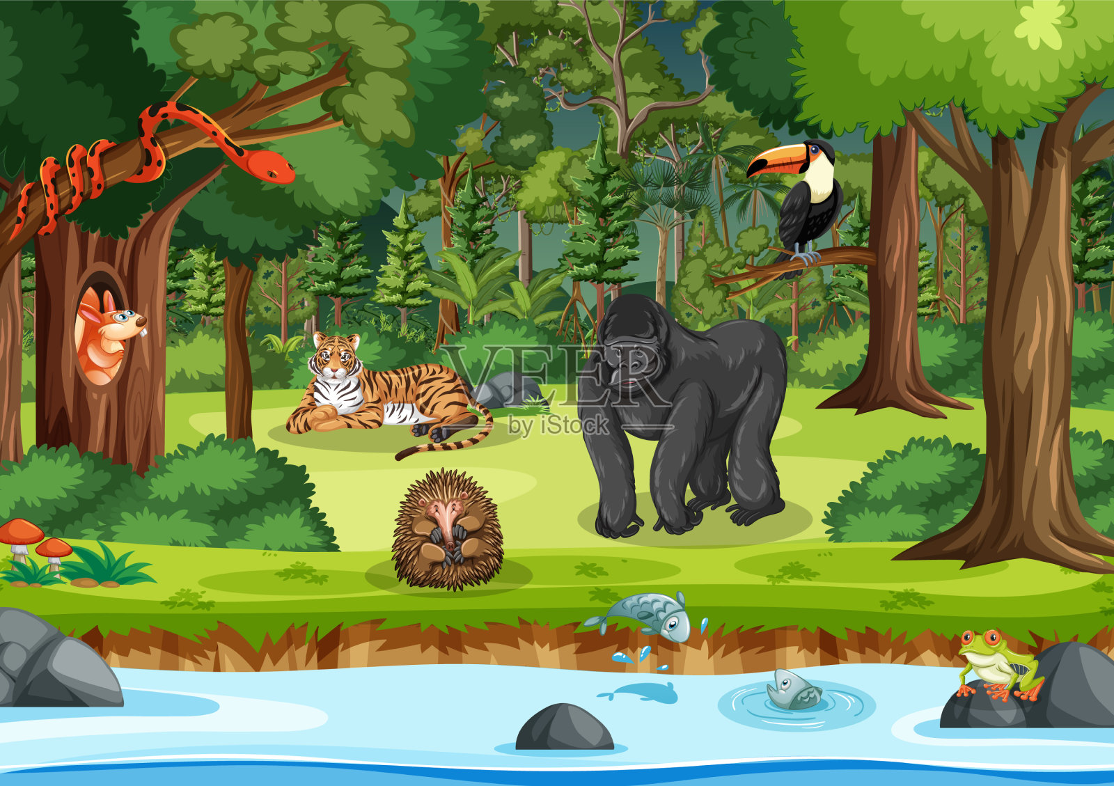 森林里的野生动物插画图片素材