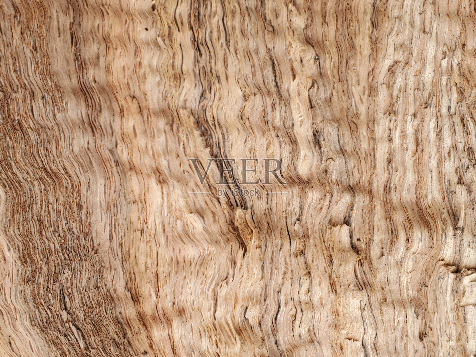 波浪形的红橡木木纹照片摄影图片