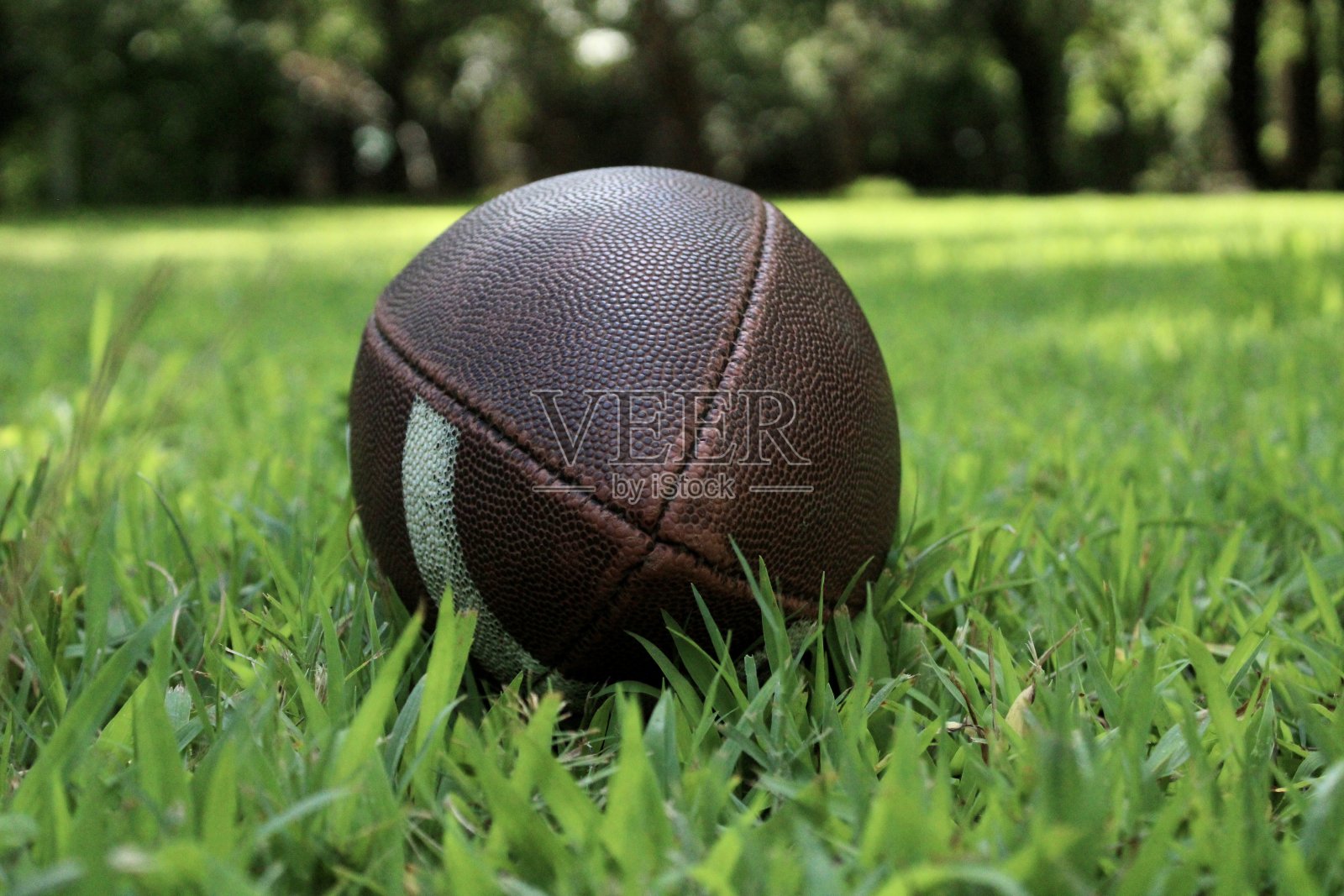 竞技场照片摄影图片