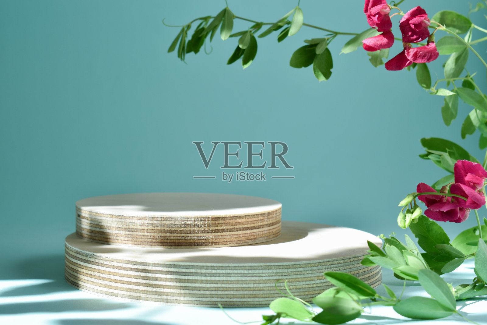 极简主义的场景,两个木制的t台在浅蓝色的背景与鲜花。照片摄影图片