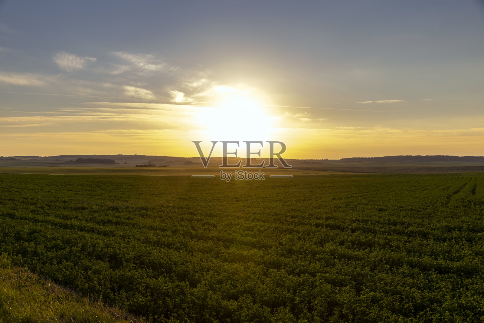 夏天农田上的日落照片摄影图片