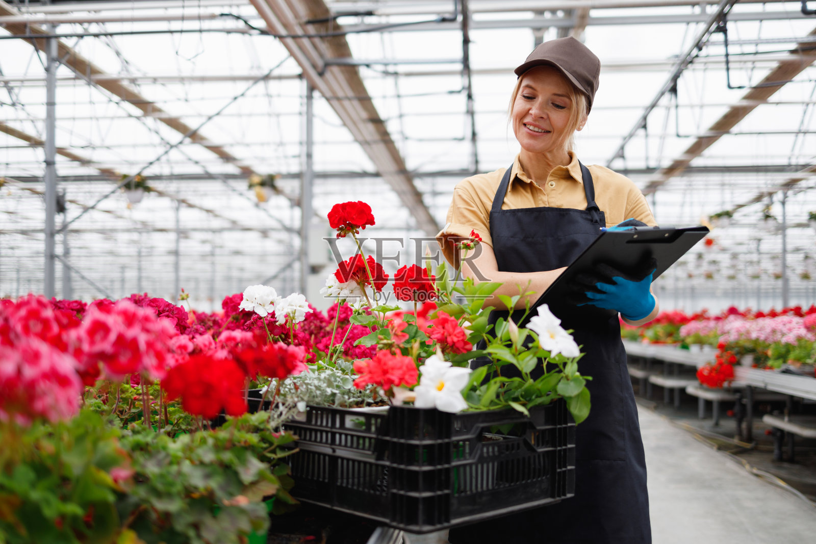 女花商与剪贴板在温室照片摄影图片