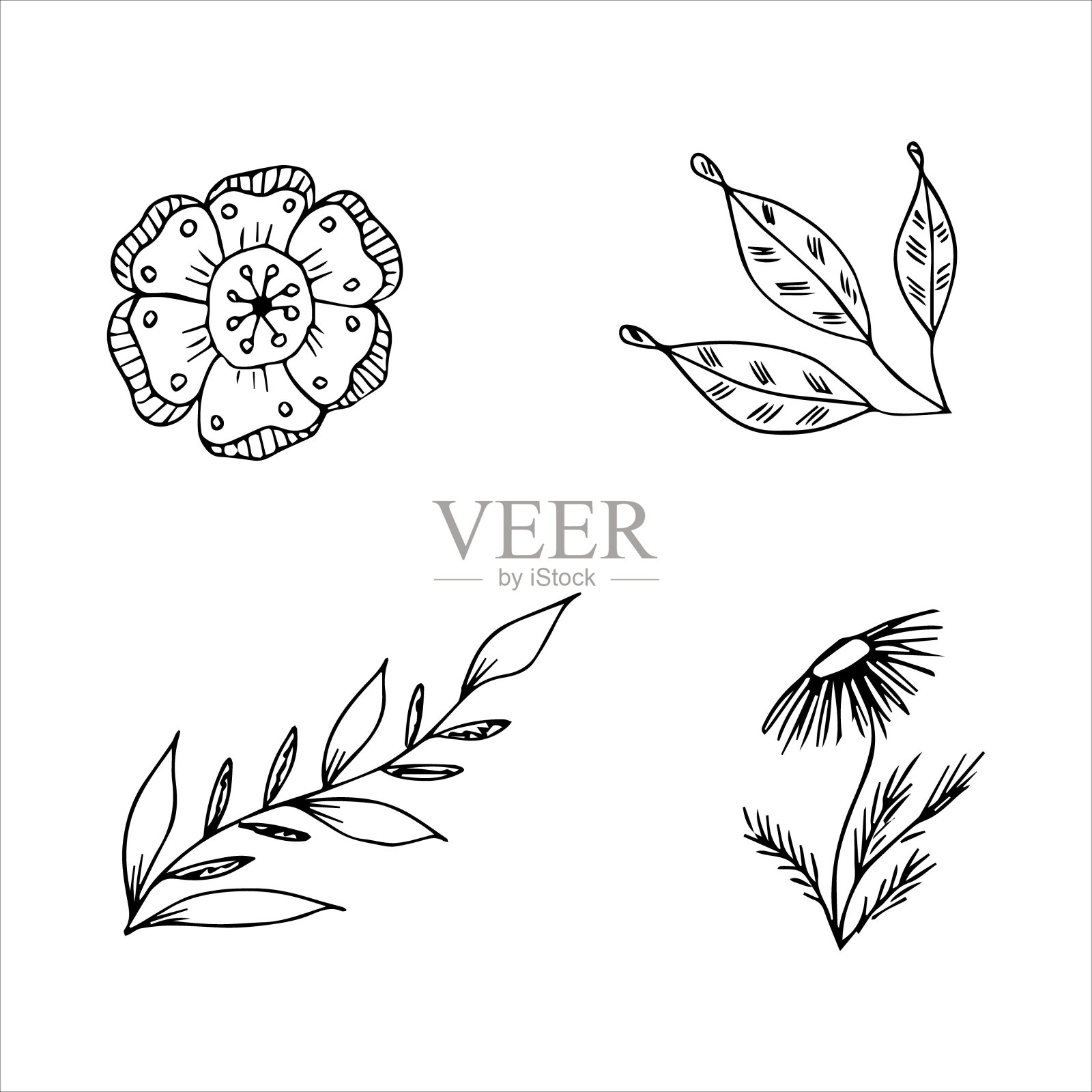 一套手绘涂鸦植物元素的花卉设计概念插画图片素材