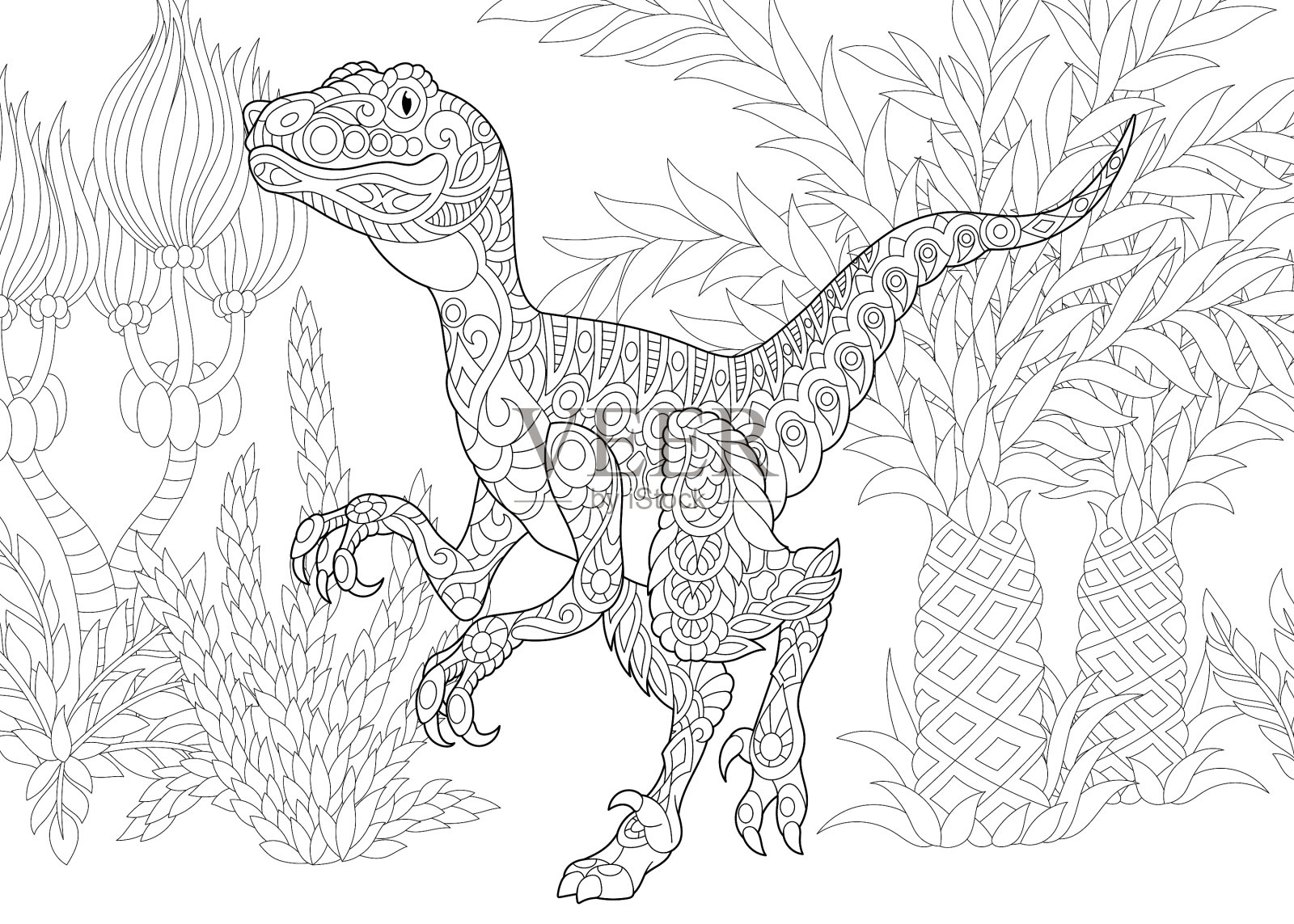 zentangle迅猛龙的恐龙插画图片素材