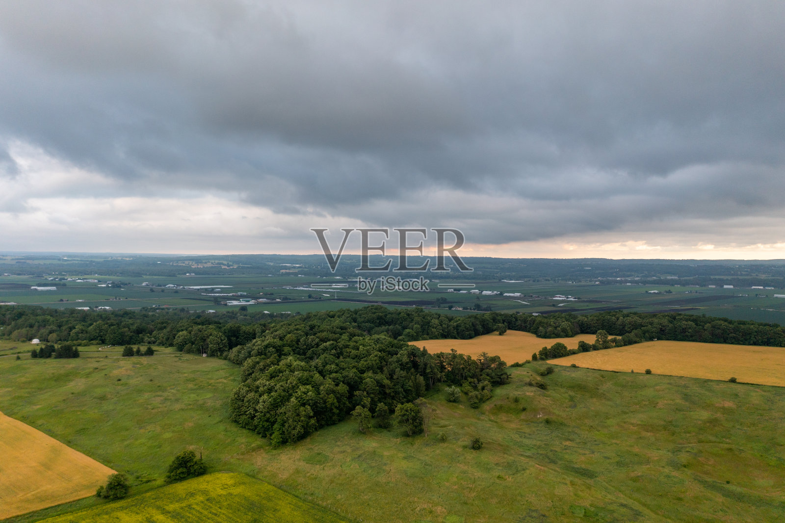 鸟瞰油菜籽田和公路ON-400, Bradford West Gwillimbury,加拿大照片摄影图片
