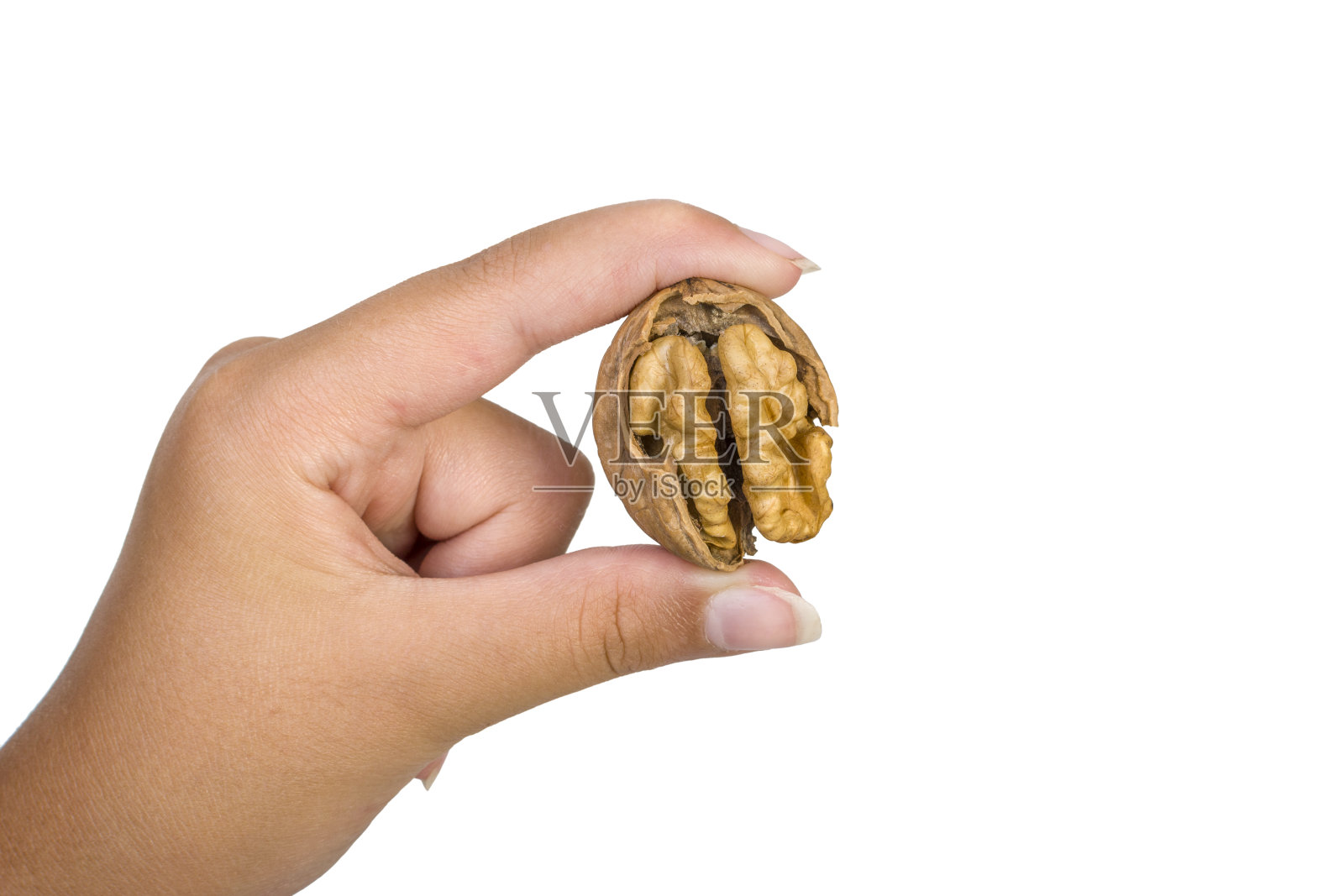 人手上的胡桃在白色背景上孤立照片摄影图片