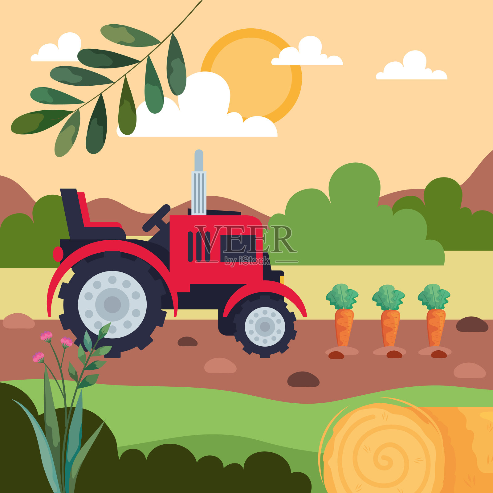 种植拖拉机和胡萝卜插画图片素材