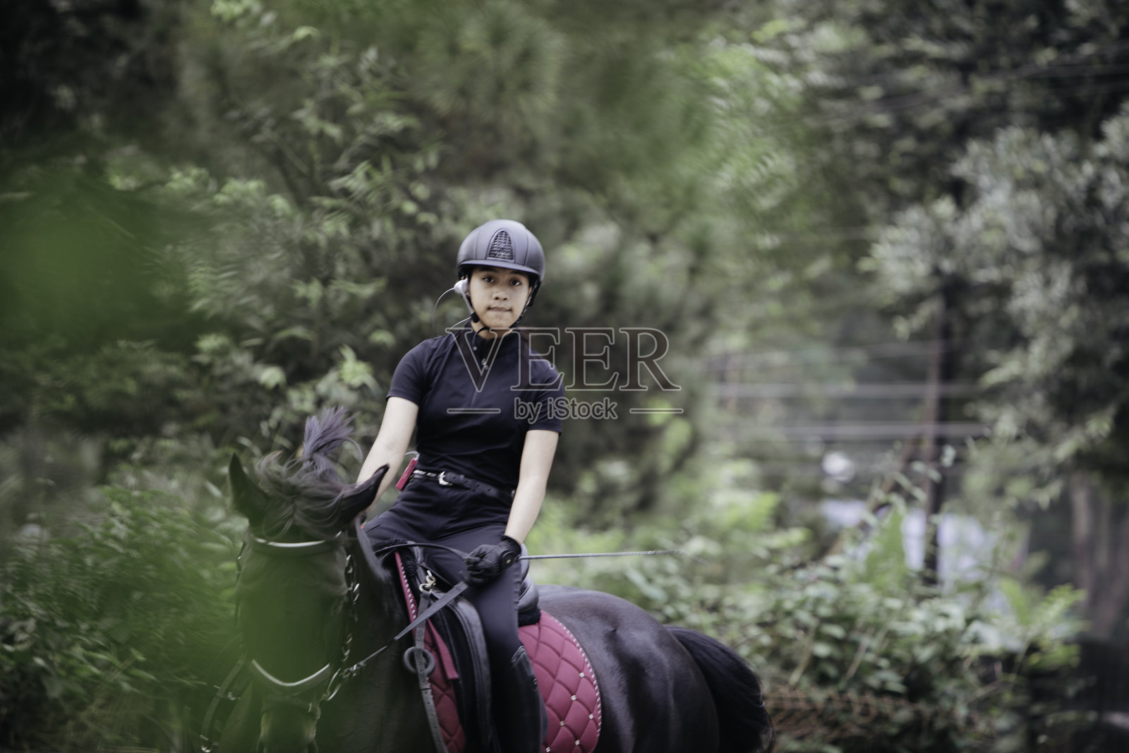 盛装舞步,女人带着她的马驰骋照片摄影图片