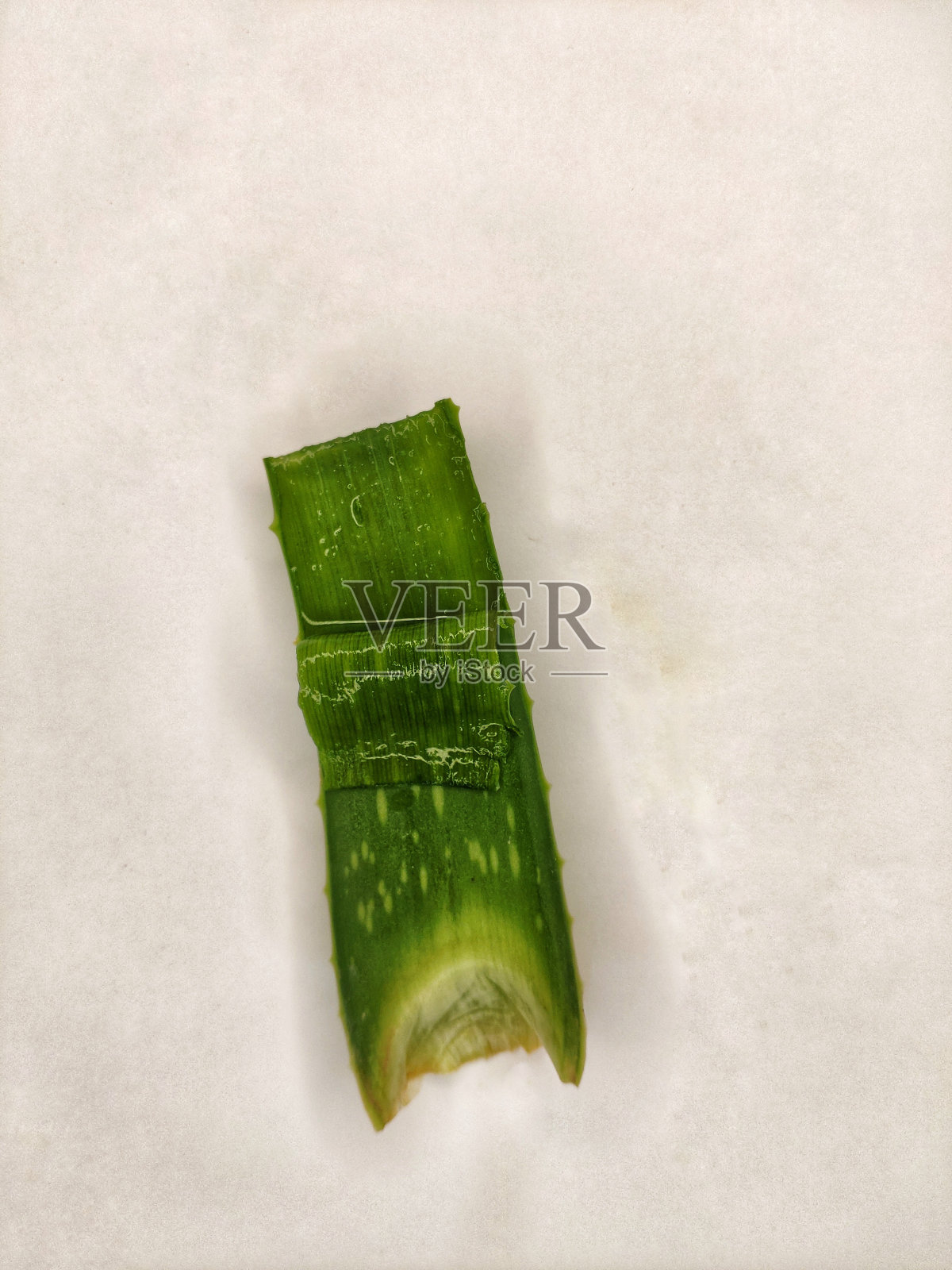 芦荟植物的特写照片摄影图片