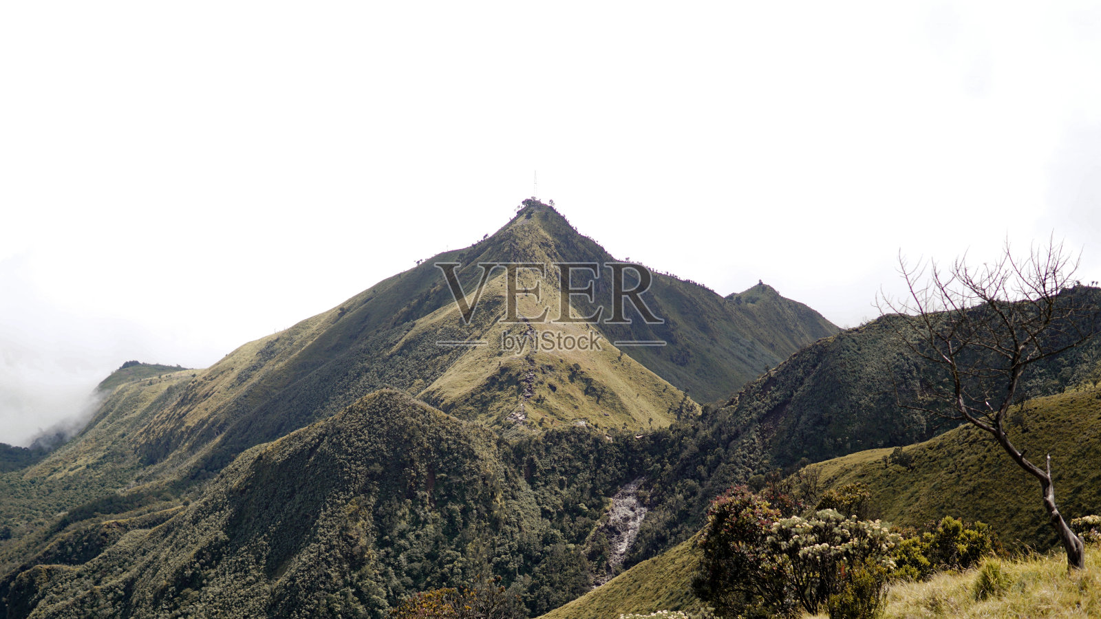 默巴布山上的美丽景色照片摄影图片
