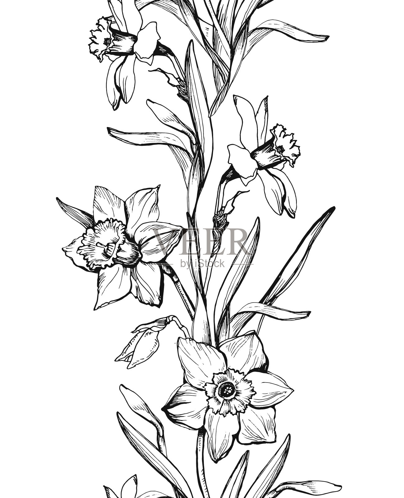 无缝边界与轮廓手绘花设计元素图片