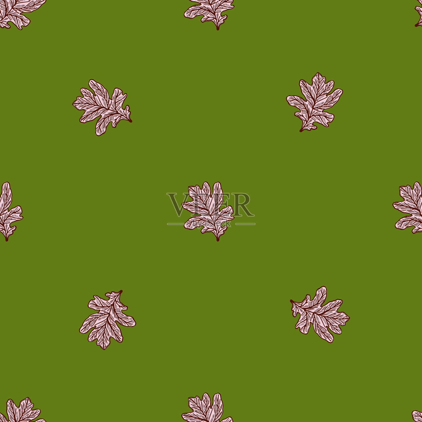 叶子橡木雕刻无缝图案复古插画图片素材