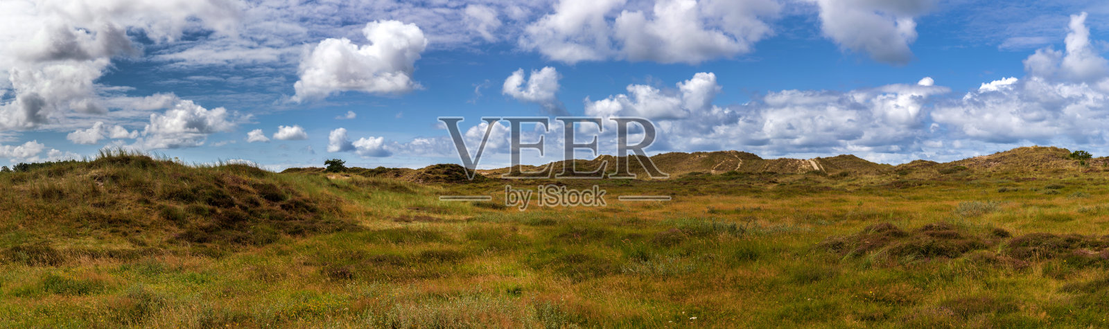 荷兰国家公园沙丘全景照片摄影图片