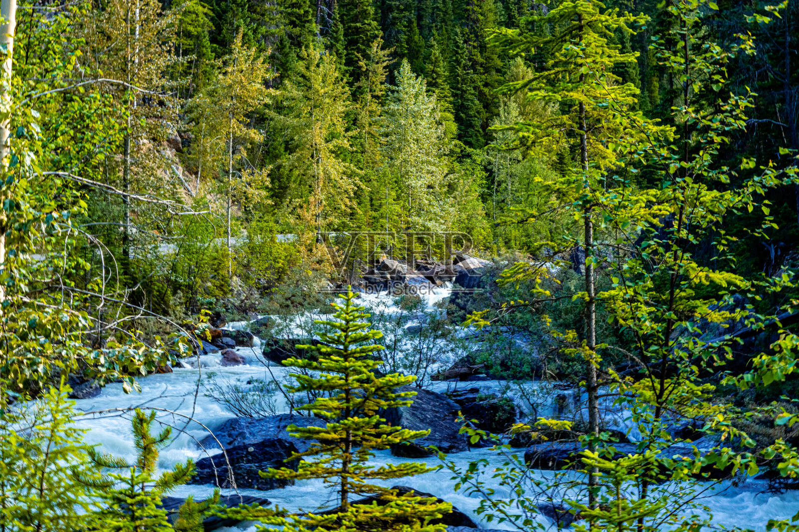 加拿大不列颠哥伦比亚省Yoho河Yoho国家公园照片摄影图片