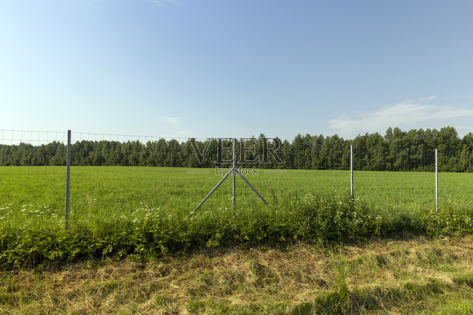 保护动物的金属围栏照片摄影图片
