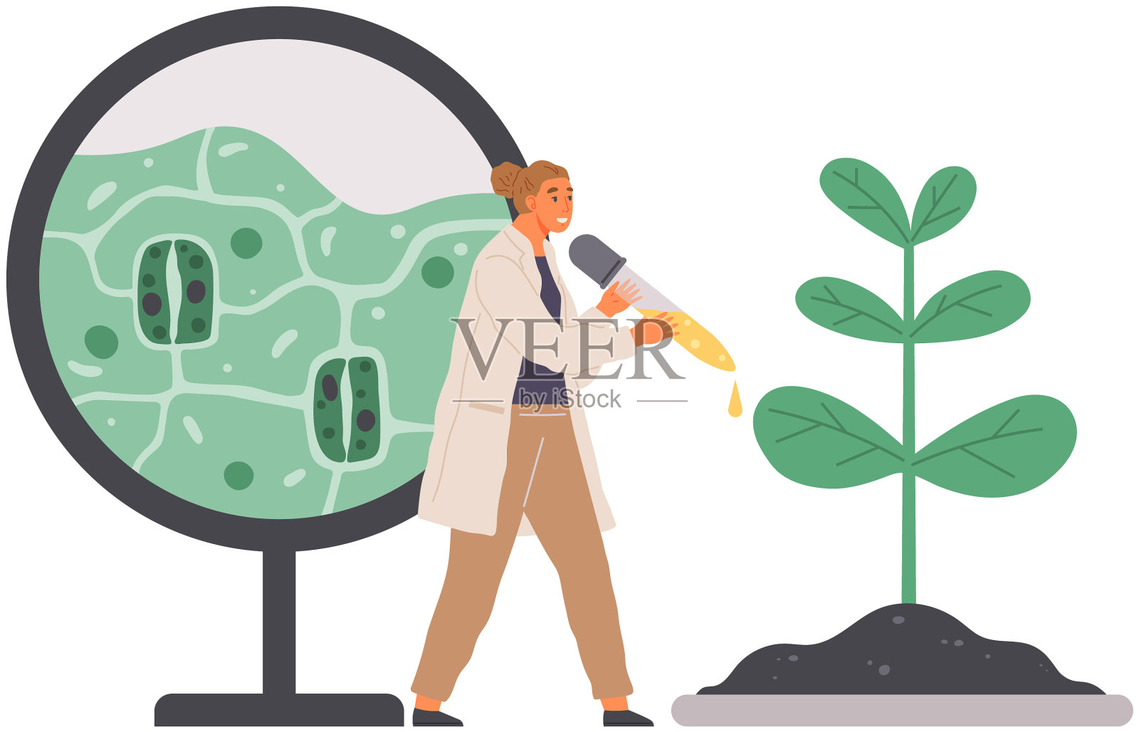 生物学家在试验中对植物进行实验设计元素图片