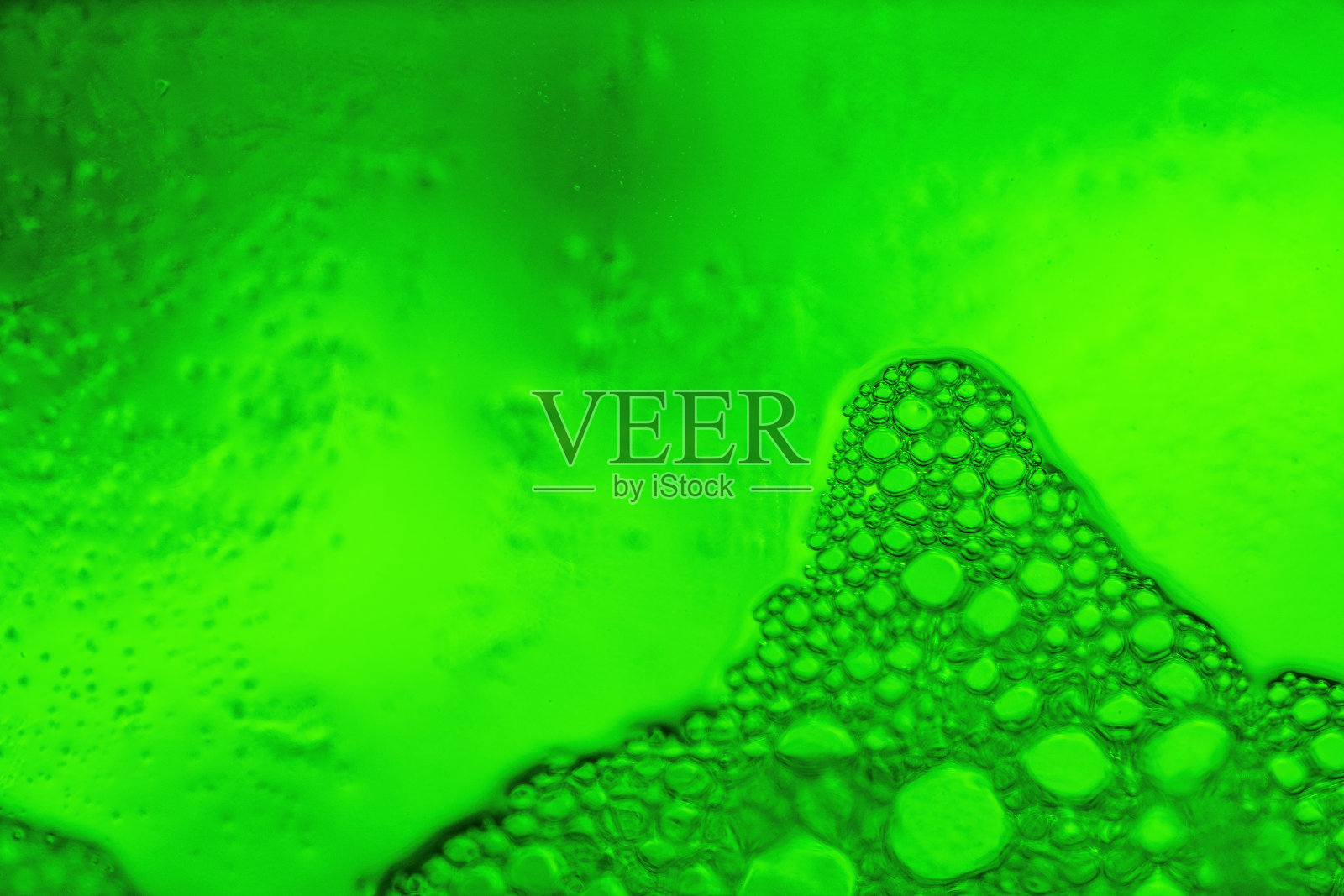 啤酒花照片摄影图片