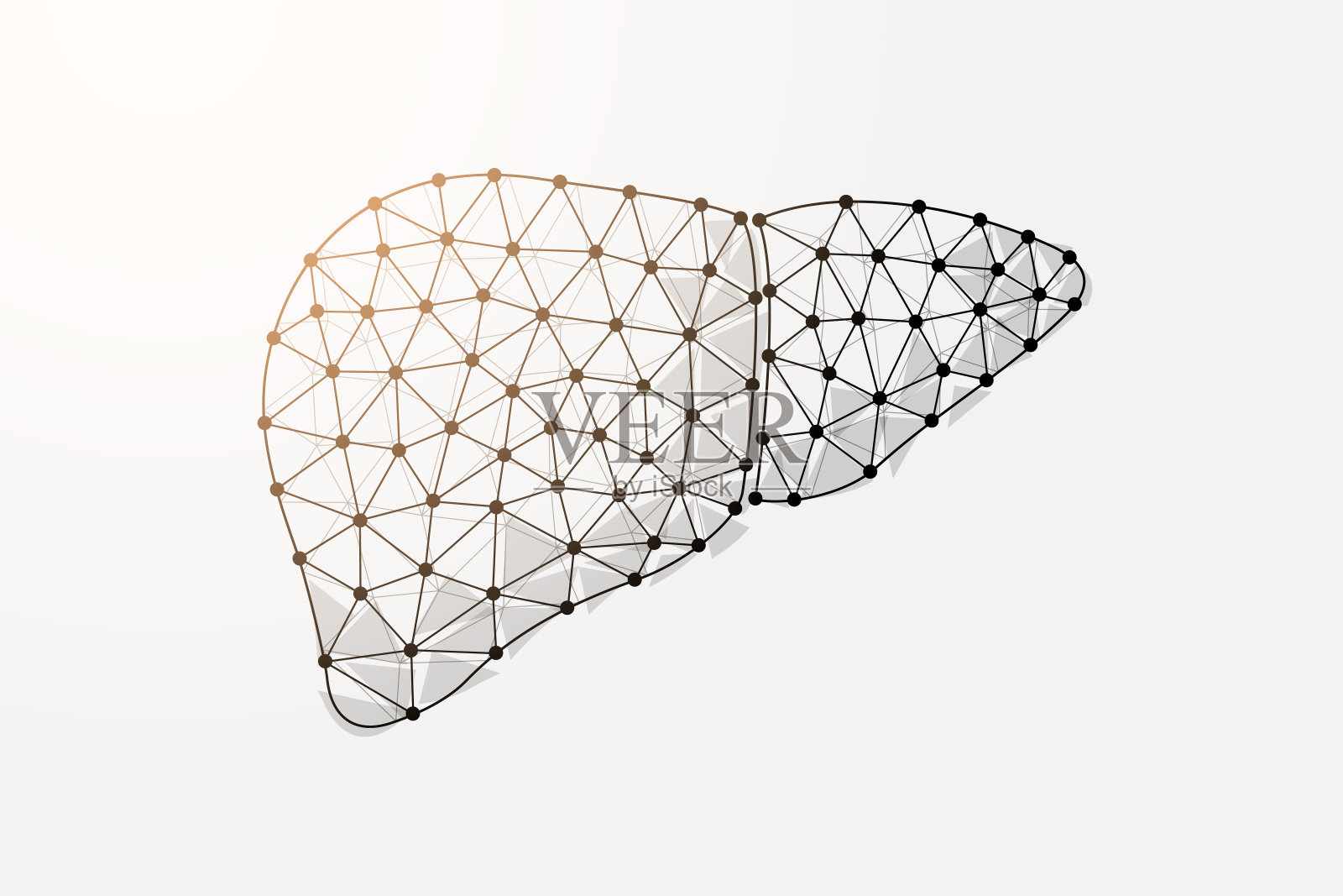 肝脏三维低多边形符号连接的点。肝炎,人体移植设计矢量插图。器官解剖多边形线框插画图片素材