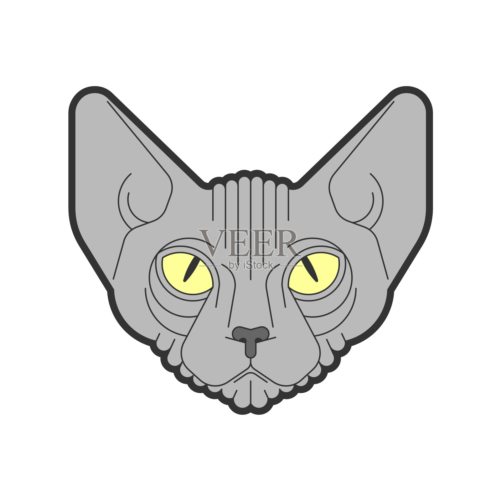 Sphynx猫脸孤立的宠物头设计元素图片