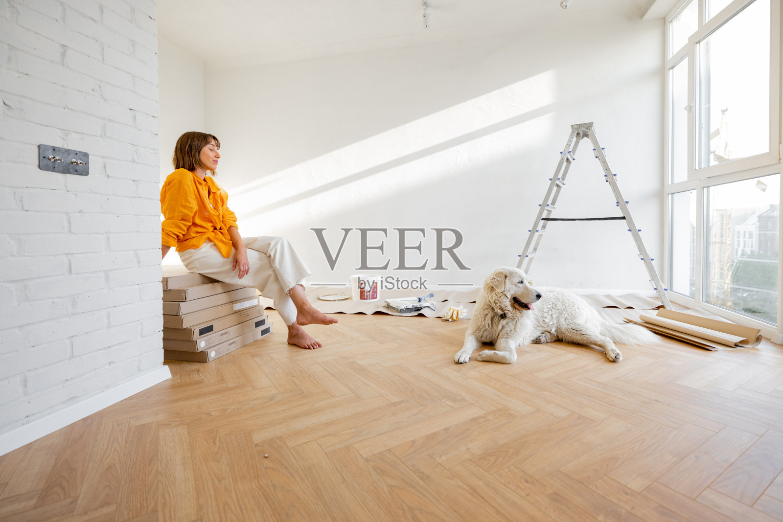 修理公寓时,房间里有狗的女人照片摄影图片