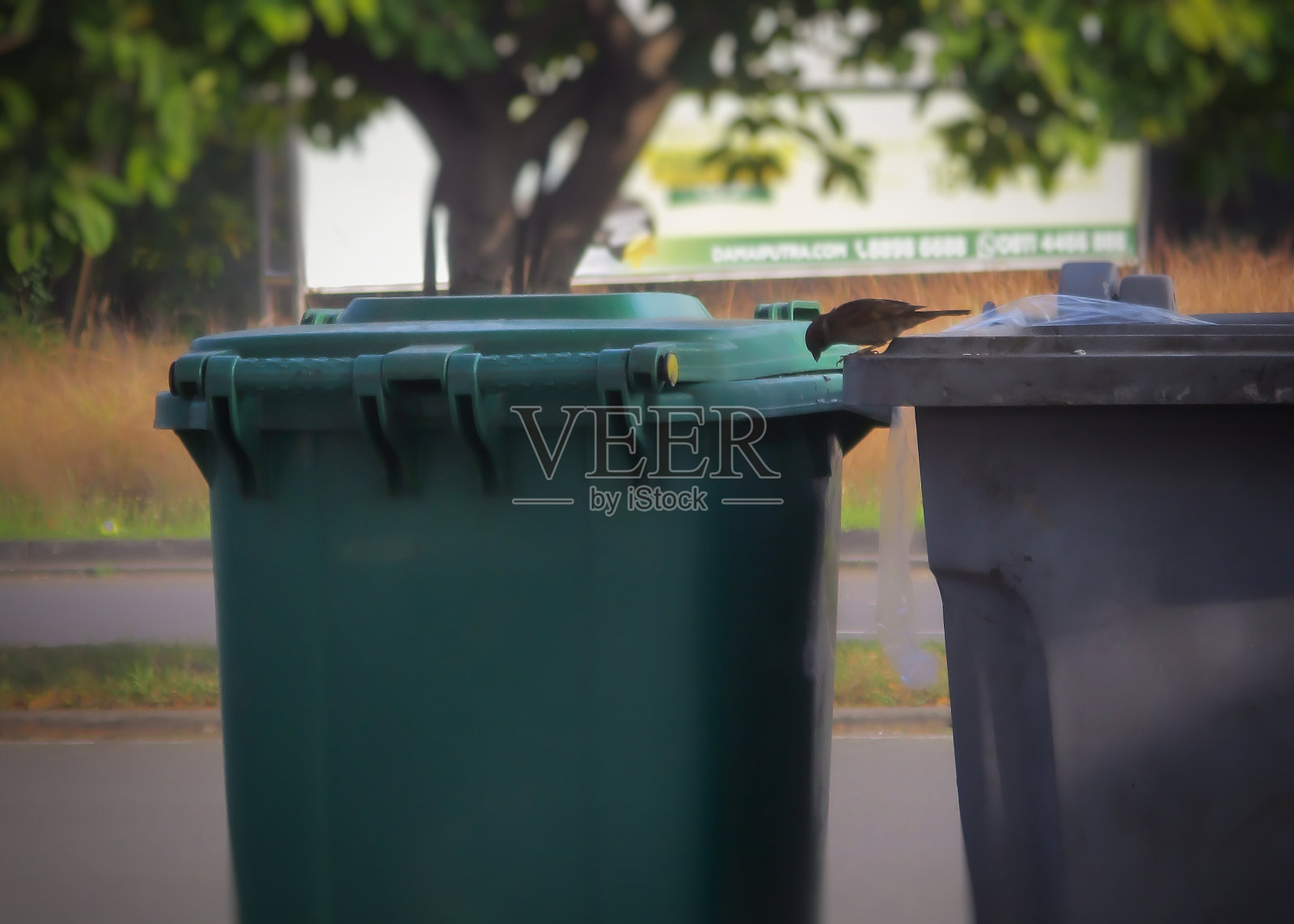 垃圾桶照片摄影图片