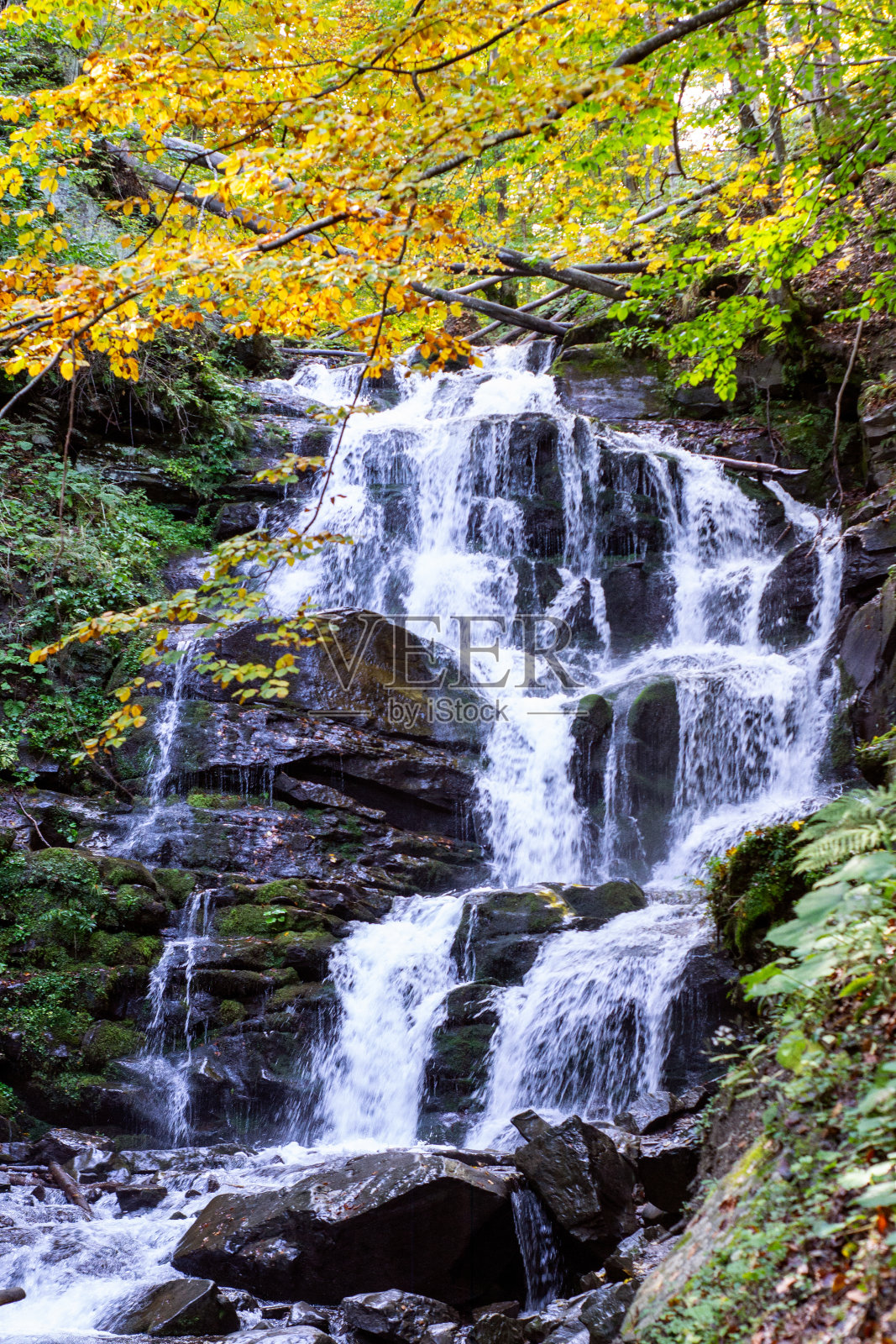 森林中的瀑布照片摄影图片