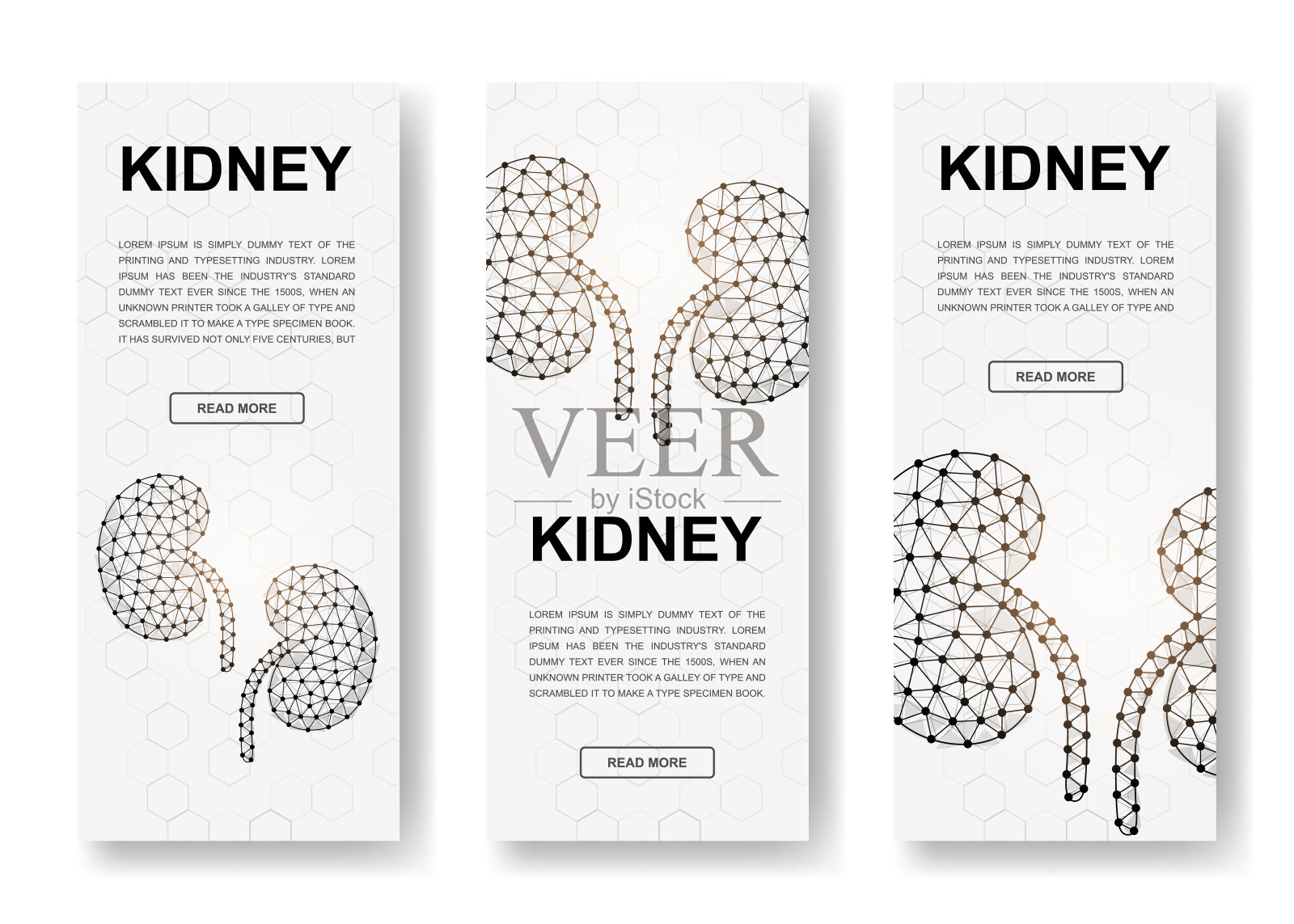 一组三个肾脏多边形垂直横幅。三维内部器官低多边形符号与连接的点。垂直插图的网页设计插画图片素材