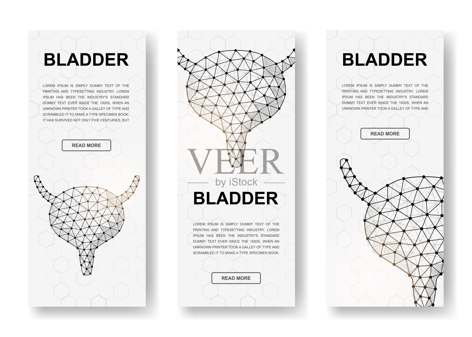 一套三个膀胱多边形垂直横幅。三维器官解剖低多边形符号与连接的点。垂直插图的网页设计设计模板素材