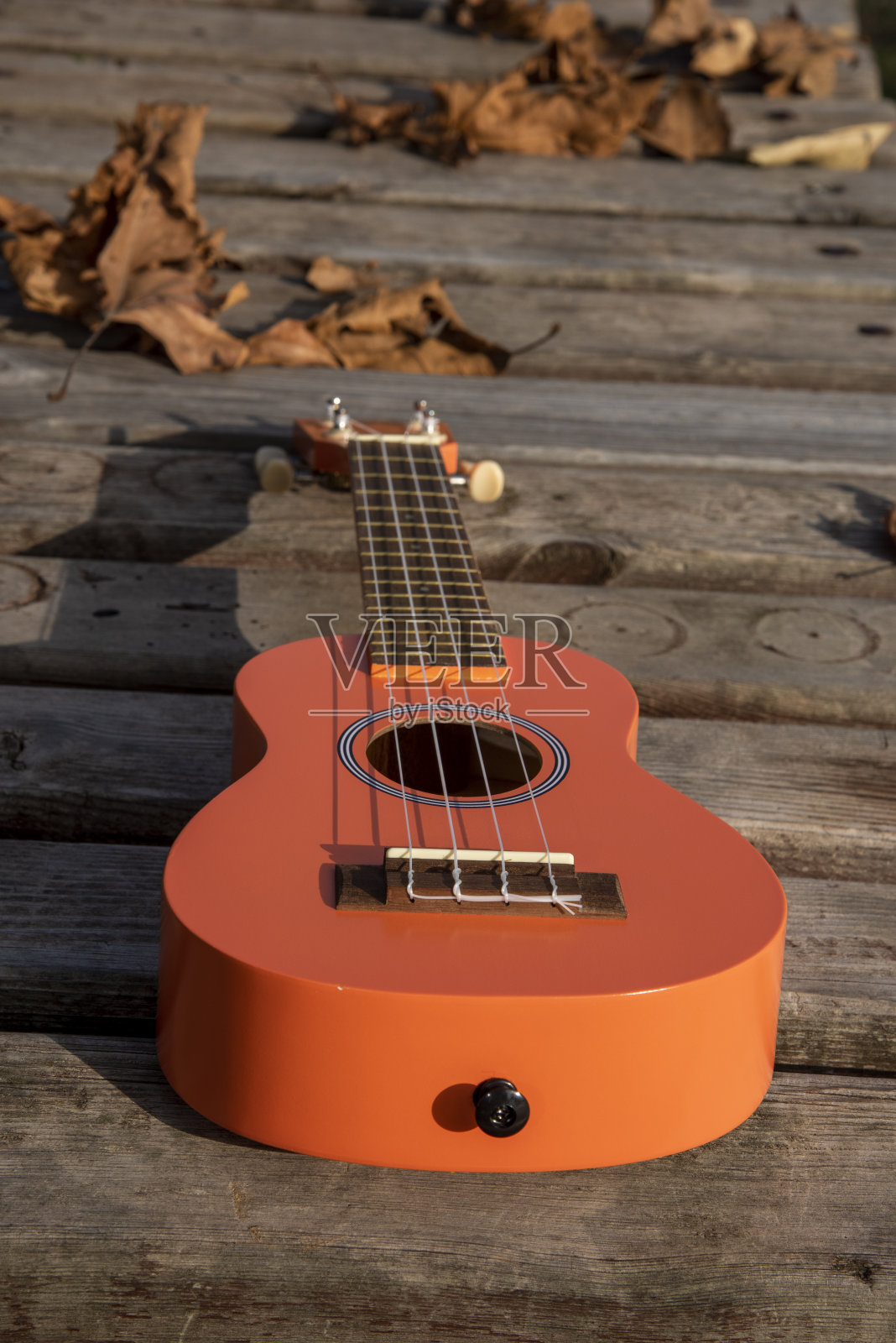 前景是吉他。背景是秋天的公园。照片摄影图片