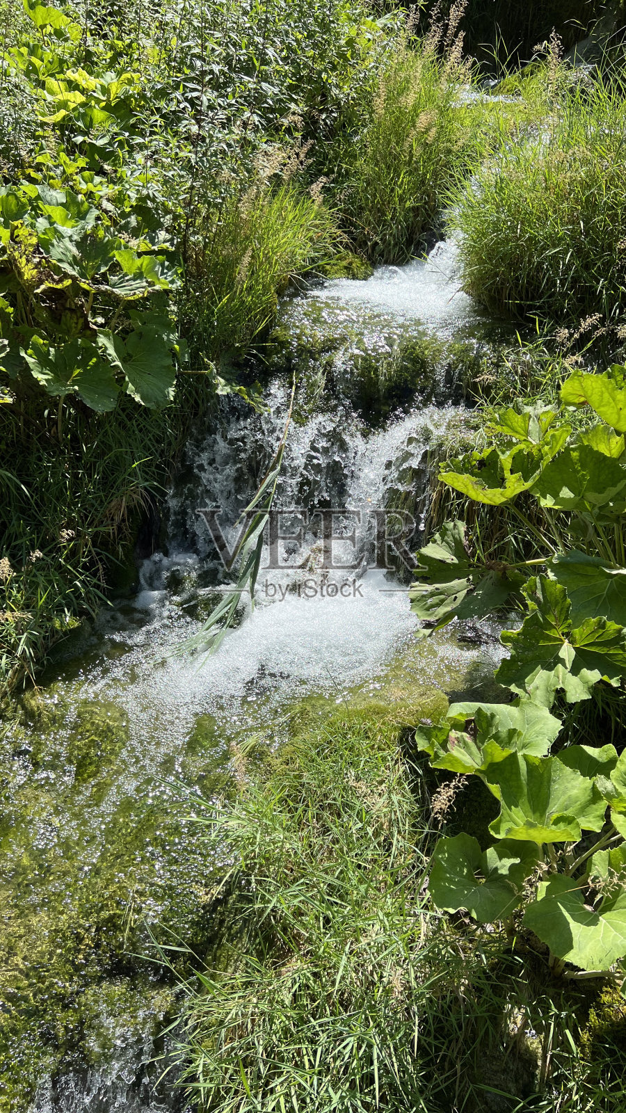 Plitvice湖国家公园照片摄影图片