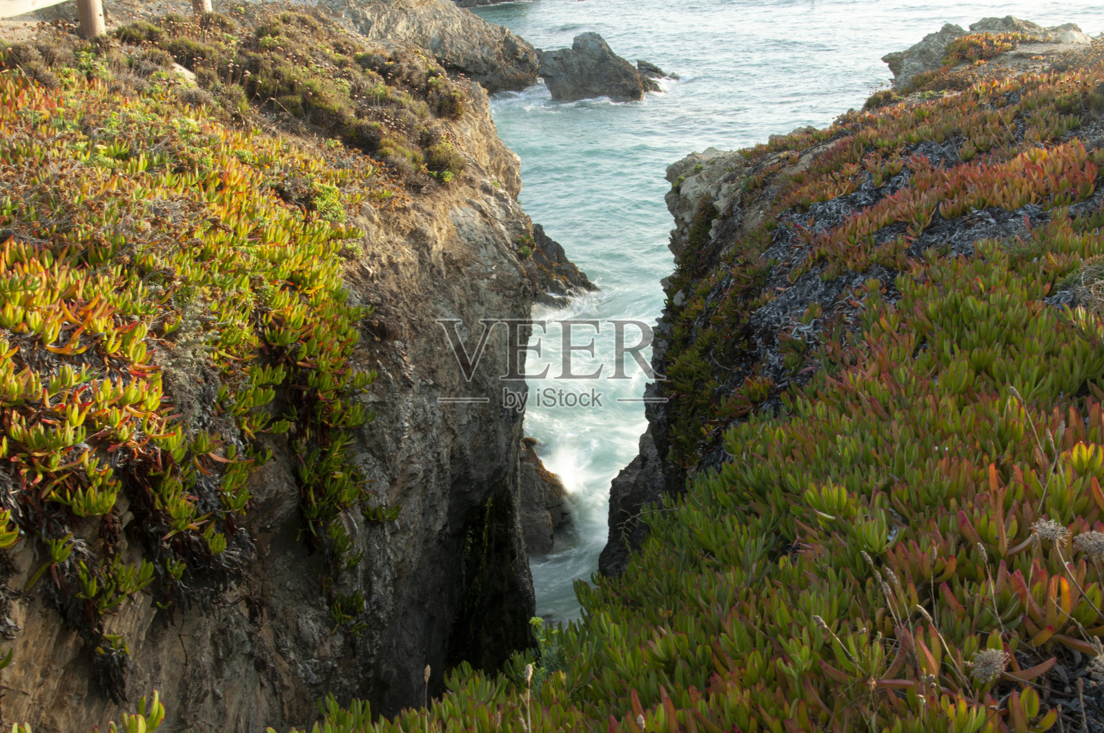 海浪拍打着葡萄牙的悬崖。不错的顶部洞穴景观。冰植物,Carpobrotus edulis周围照片摄影图片