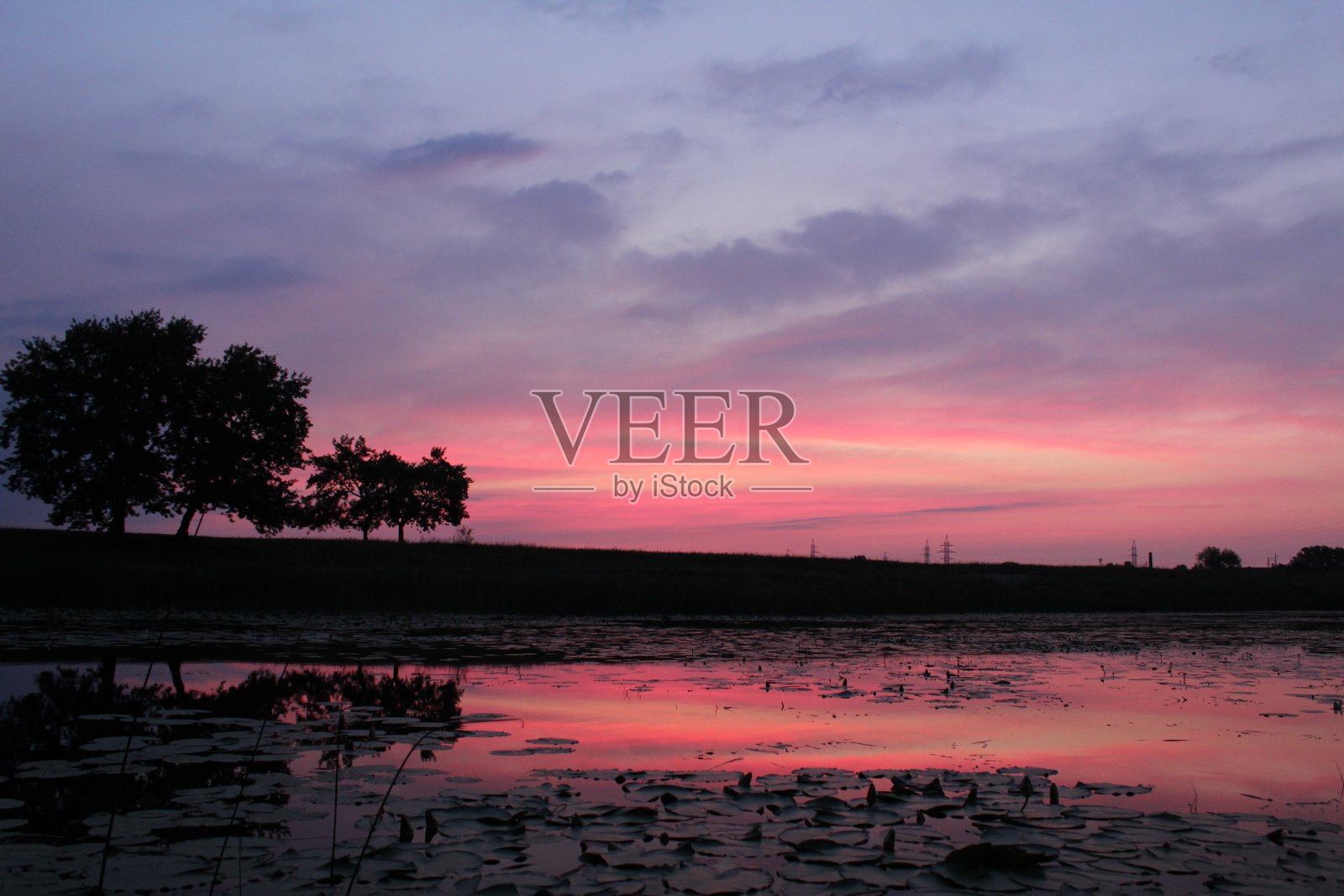 旭日东升,夕阳映红湖面,倒影在水中,橡树在地平线上。壁纸照片摄影图片