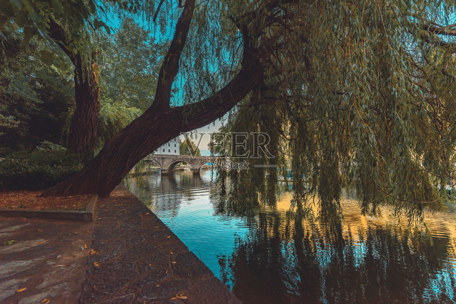 克罗地亚克雷克维尼察镇杜布林纳河边的垂柳照片摄影图片