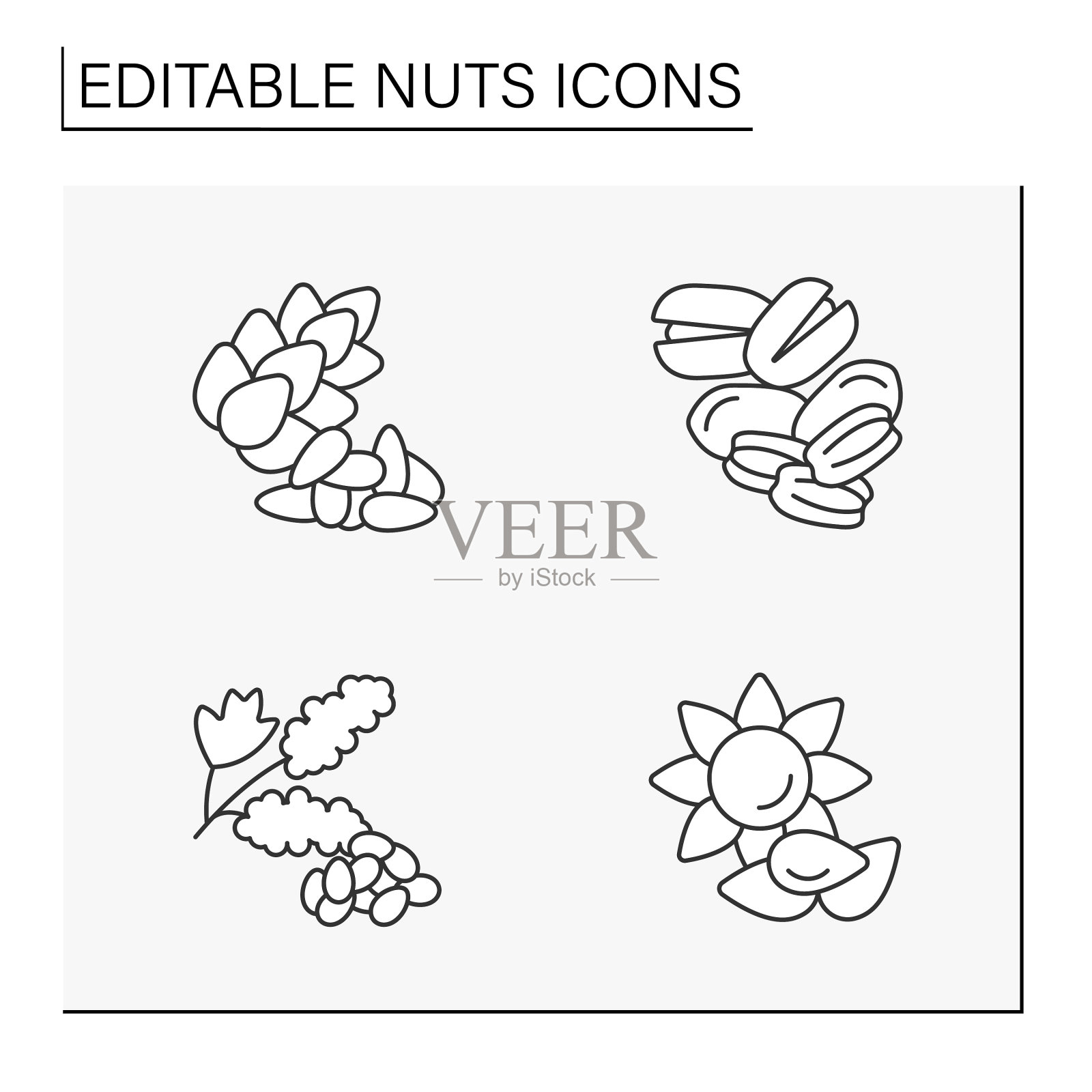 坚果线图标设置图标素材