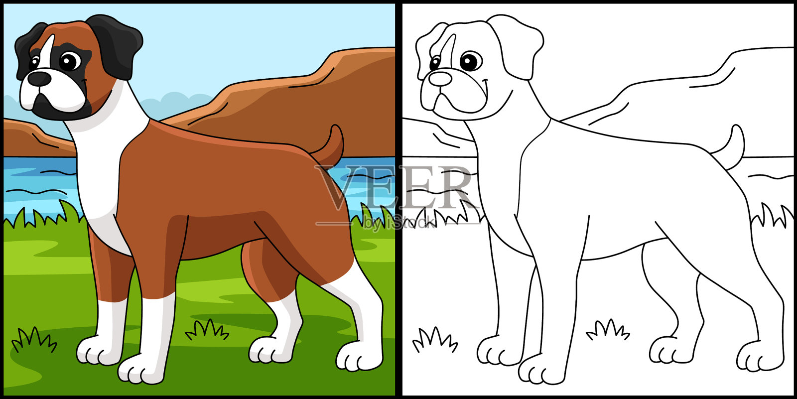 拳师犬着色页上色插画图片素材