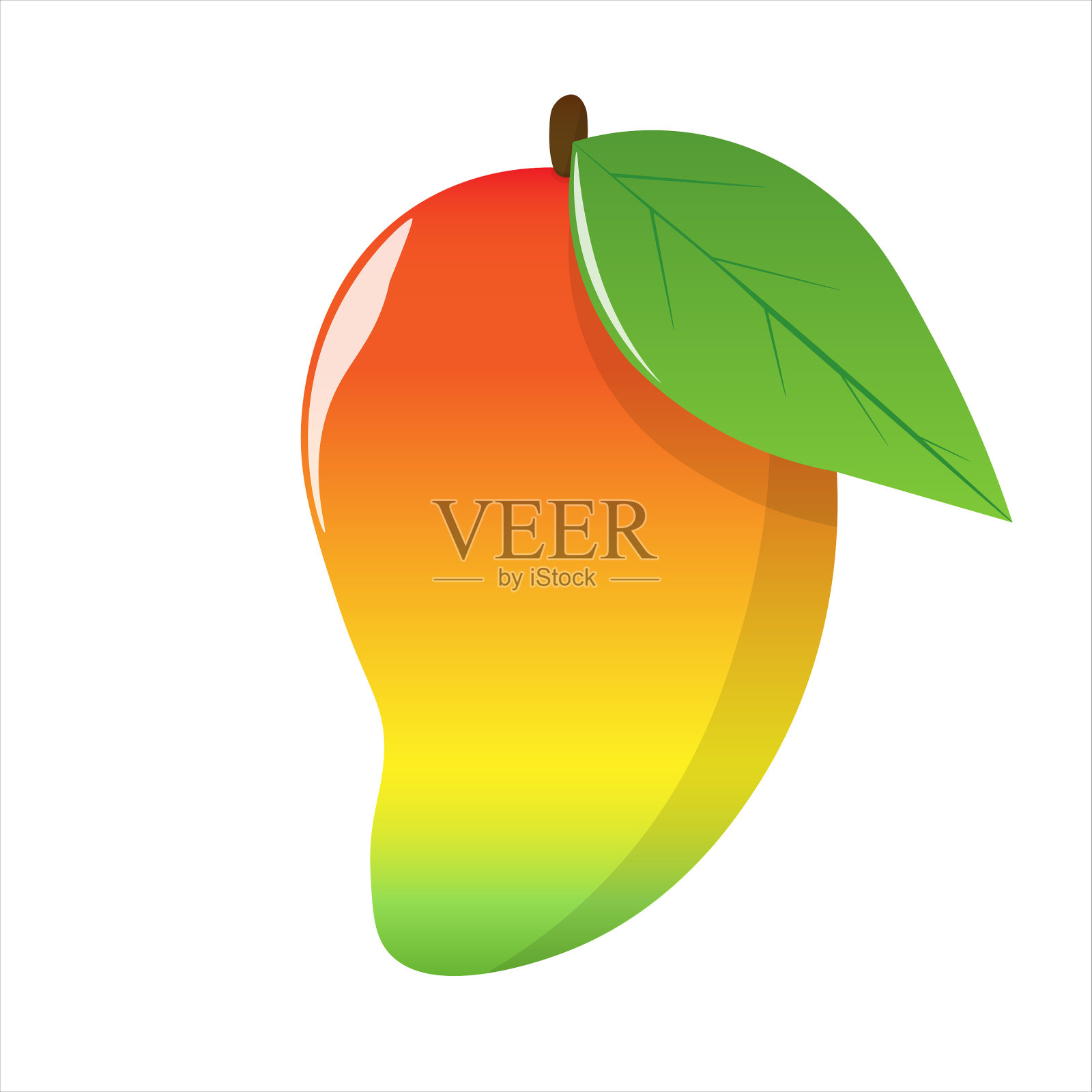 在白色背景上分离的芒果成熟果实插画图片素材