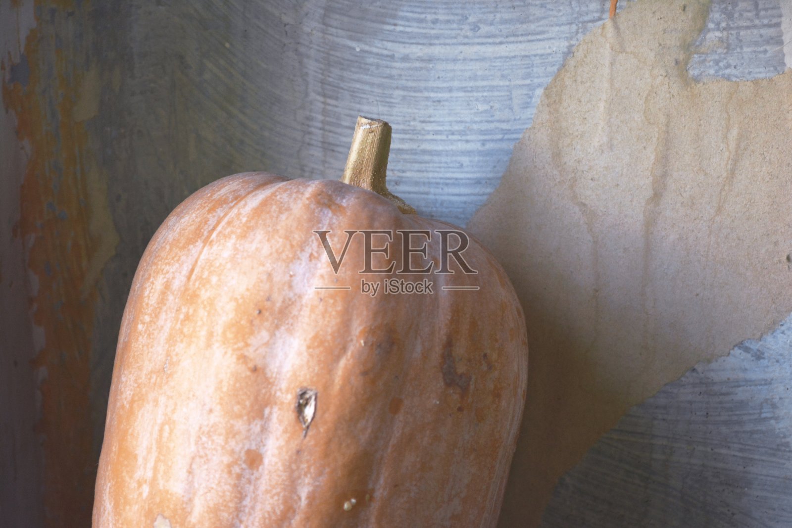 南瓜照片摄影图片