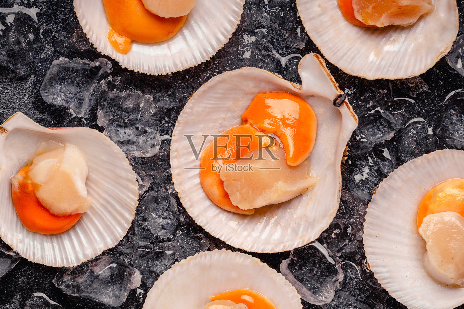 扇贝放在冰上照片摄影图片